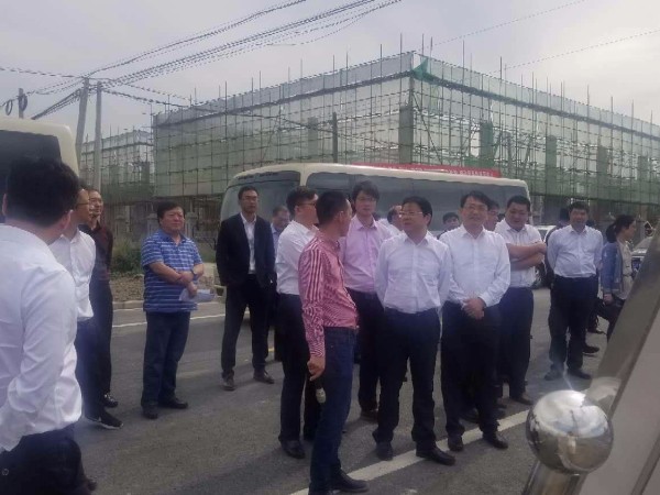瑞绽新工程开始灌浆饱满，欢迎市领导莅临指导检验