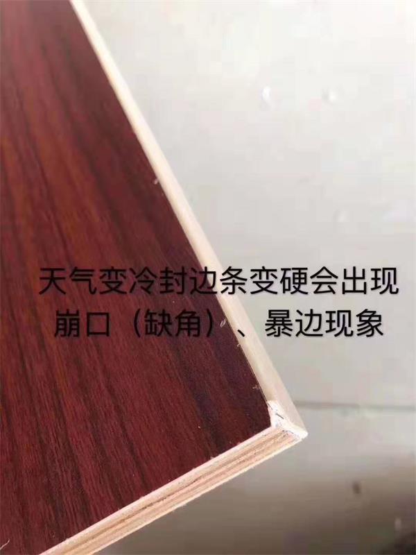 微信图片_20191116084931